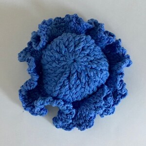May include: A blue crocheted hat with a ruffled brim.