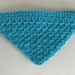 see more listings in the Crochet Blankets & More section