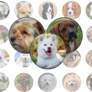 Dogs Collage Sheet, 1 Inch Circles, 20 Images, Printable Download, Downloadable Dog Images, Printable Dog, Digital Dog, Printable Images