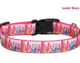 May include: Pink dog collar with a black buckle and a colorful cactus print. The collar has the text "Lookin' Sharp" and "Sew Dimpily Cute" printed on it.