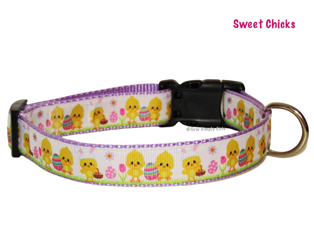 Pollitos dulces Collar de perro Huevos de Pascua Conejito Etsy España