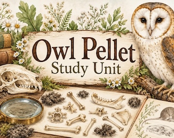 Puede incluir: Una unidad de estudio educativa con una lechuza, un cráneo, varios huesos de animales y egagrópilas oscuras. Un letrero de madera muestra el texto 'Owl Pellet Study Unit' rodeado de margaritas, con una lupa y una ilustración de un ratón.