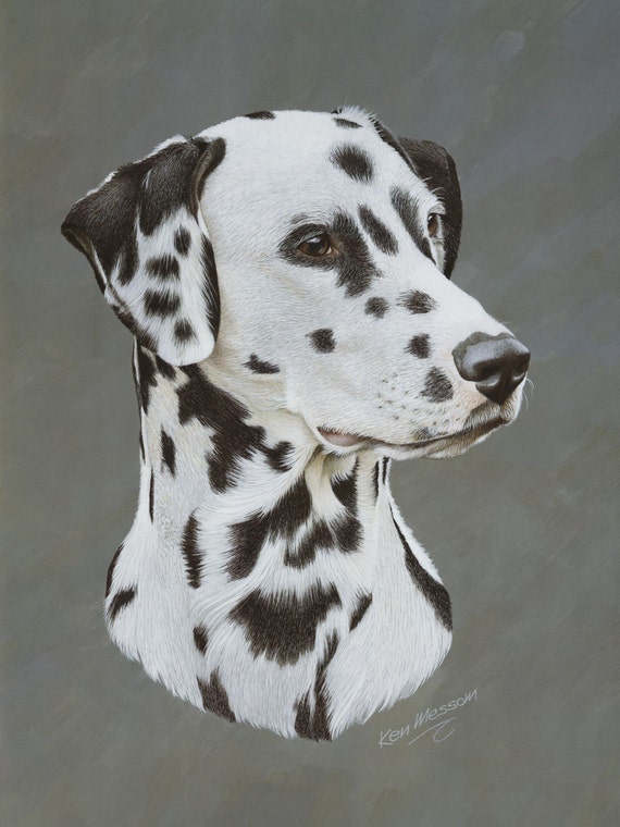 dalmation print top
