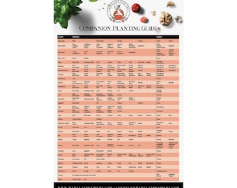 Companion Planting Poster - 13" x 19" Printed Poster