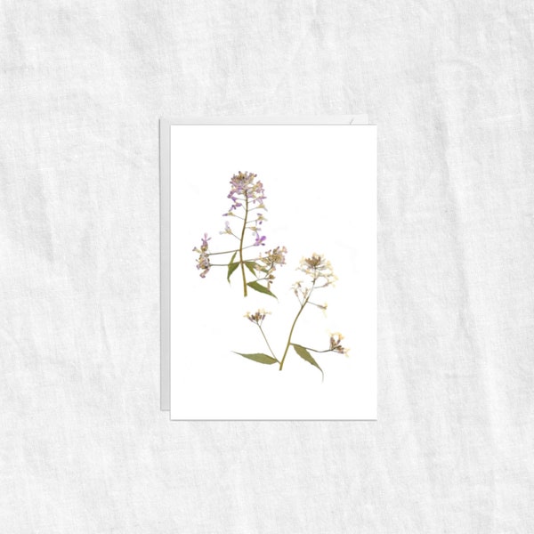 4x6 Art Print - Etsy Canada