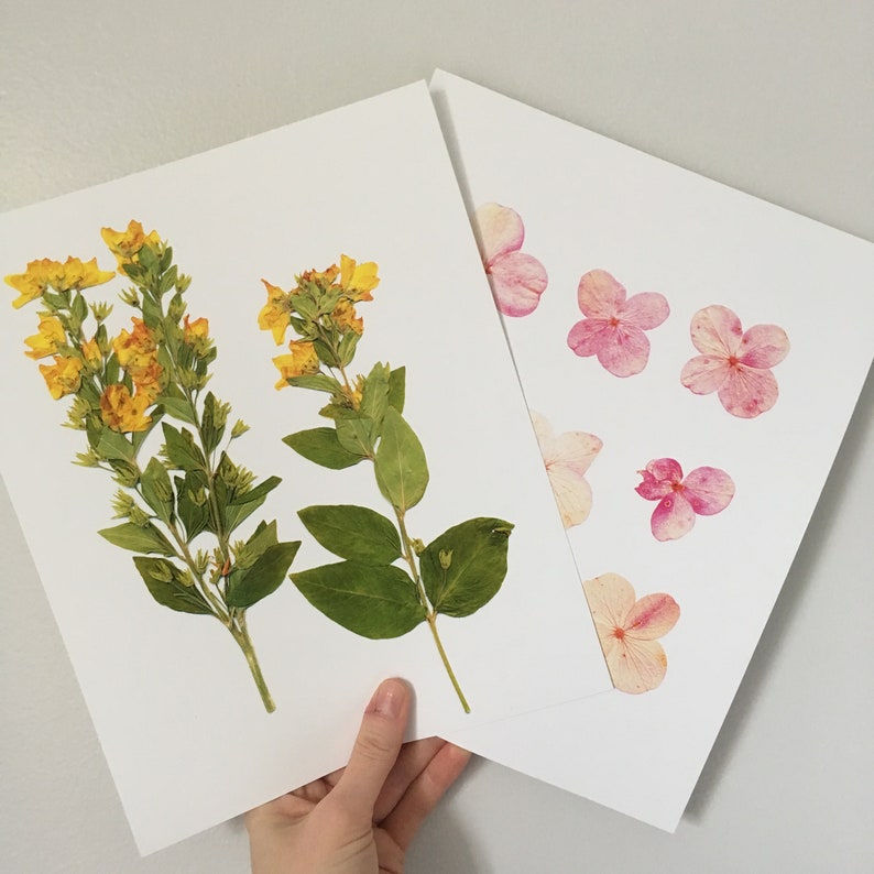 Pressed Flower Print by Oake Living Etsy
