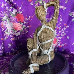 Abstract female rope tied bondage figure