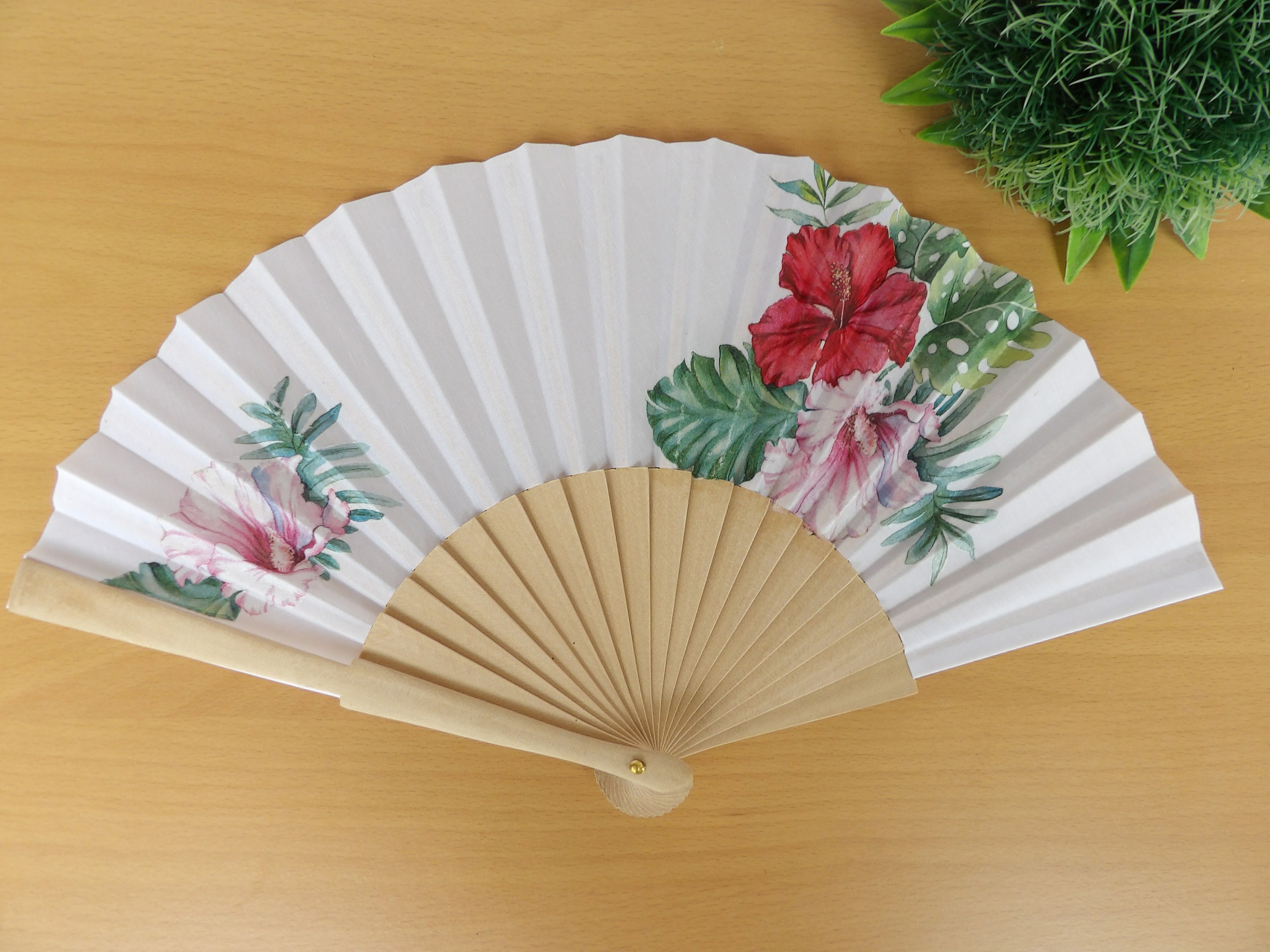 希少稀な Hibiscus Flowers or Evening Fan, Holding Floral Fan, Hand Clothing