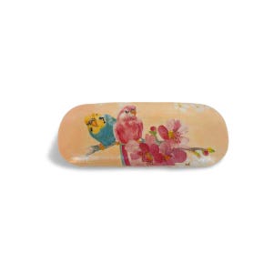 Eyeglass Case with Parrots, Hard Glasses Case, Storage Box, Spectacle Case with Budgies, Shabby Chic Case, Reading Accessory, Gift for Mom