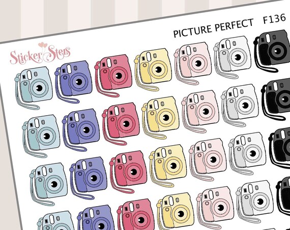 Picture Perfect | F136 Planner Stickers