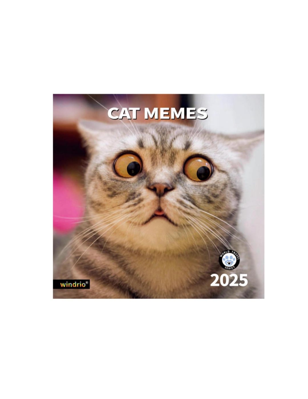 The Cat Memes Wall Calendar, Photo Headshots Cat Art, 12 X 12 1