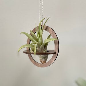 Air Plant Holder - Geometric Wood Hanging Air Plant Nest