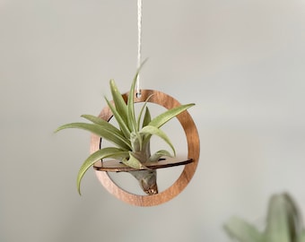 Air Plant Holder - Geometric Wood Hanging Air Plant Nest