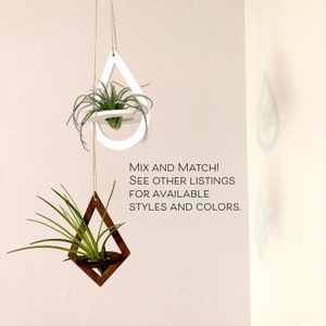 Air Plant Holder Geometric Wood Hanging Air Plant Nest image 5