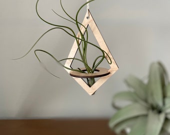 Air Plant Holder - Geometric Wood Hanging Air Plant Nest