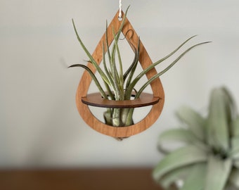 Geometric Wood Air Plant Holder with Live Plant: Boho Wall Decor