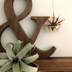 Air Plant Holder Geometric Wood Hanging Air Plant Nest image 4