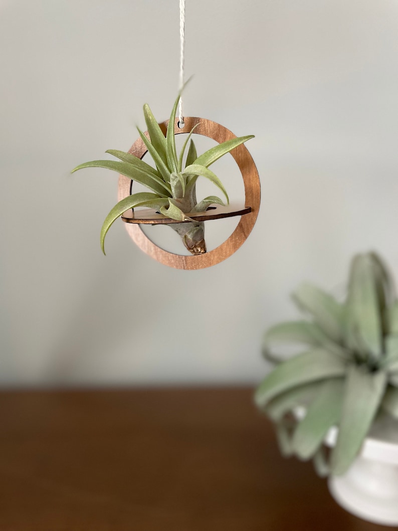 Air Plant Holder Geometric Wood Hanging Air Plant Nest image 1