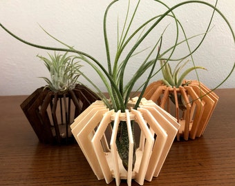 Tabletop Geometric Wood Air Plant Holder/Cage