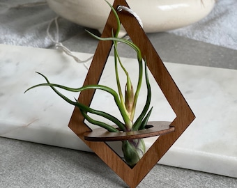 Air Plant Holder - Geometric Wood Hanging Air Plant Nest