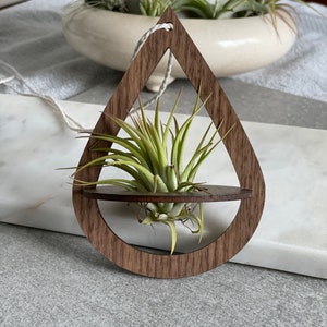 Geometric Wood Air Plant Holder with Live Plant: Boho Wall Decor