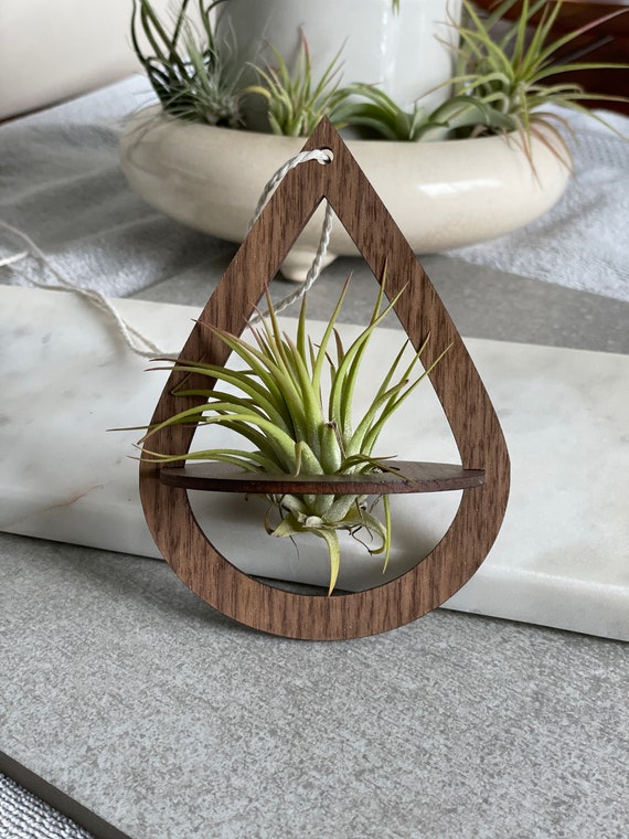 Geometric Wood Air Plant Holder With Live Plant: Boho Wall Decor - Etsy