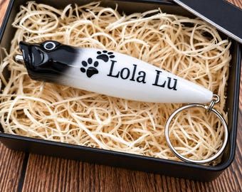 Paw Print Dog Memorial Gift – Keychain Urn for Dog Ashes, Personalized Pet Memorial Keepsake, Loss of a Dog Sympathy Gift