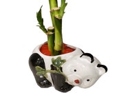 Three Piece Straight Bamboo Arrangement in Panda Vase