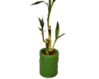 Two OR Three Piece Straight Bamboo Arrangement in a Faux Tiger Jade Vase