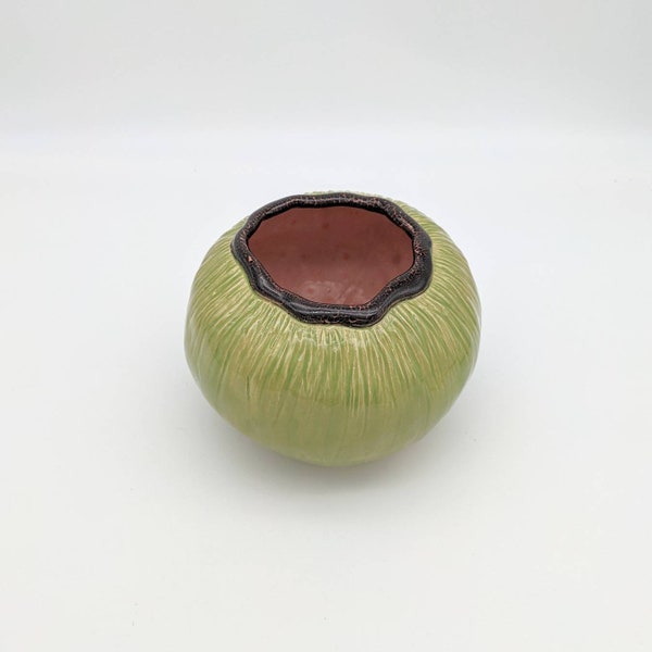 Seed Pod Pinch Pot Vase