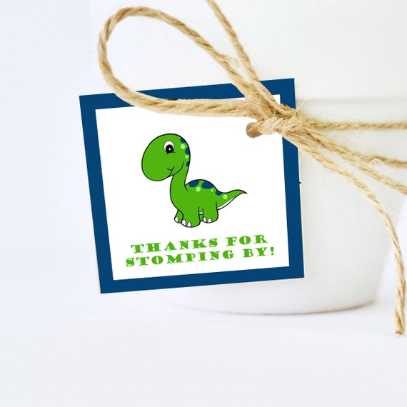 dinosaur baby shower favors
