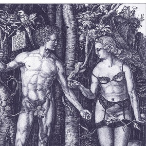 primark sexy lingerie Adam and Eve Lingerie: Style, Fit & Where to Buy main image 1