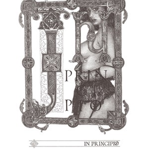 Fine Art Giclée Prints, In Principio_1  grey (Limited Editions of 76, different colors)