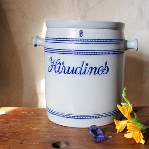 May include: A white ceramic jar with blue trim and the word "Hirudines" written on it. The jar has two small handles on the sides. The jar is sitting on a wooden surface next to a wooden duck decoy with green and black paint.