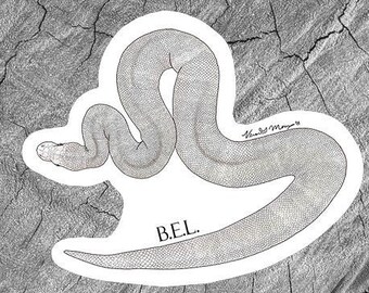 Ball Python BEL Morph Aufkleber, laminierte Aufkleber, wasserdichte Aufkleber, Reptilien Geschenke, Schlangenaufkleber