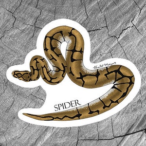 Peut inclure: Un autocollant représentant un serpent brun et noir avec un motif blanc. Le serpent est enroulé en forme de 'S'. L'autocollant porte l'inscription "SPIDER".