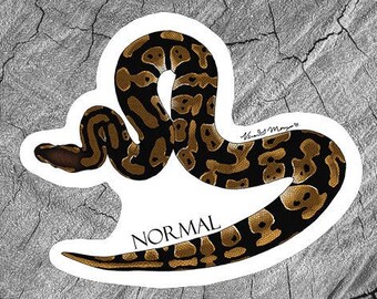 Autocollants python-balle à morphologie normale, Autocollants laminés, Autocollants imperméables, Cadeaux reptiles, Autocollant serpent