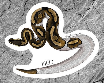 Stickers python stylisé pie-morphe, Stickers laminés, Stickers imperméables, Cadeaux reptiles, Stickers serpents