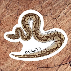 Op de afbeelding: Een witte sticker met een illustratie van een bruine en beige slang. De slang is opgerold in een cirkel met zijn kop naar links gericht. De tekst "BAMBOO" is onder de slang gedrukt.