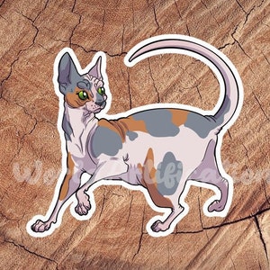 Naklejka Calico Sphynx Cat, Naklejki wodoodporne, Naklejki laminowane, Prezent dla miłośników kotów, Naklejka z kotem