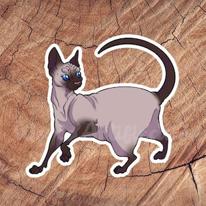Siamese Sphynx Cat Sticker, Waterproof Stickers, Laminated Stickers, Gift for Cat Lovers, Cat Decal