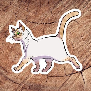 Orange Siamese Short Hair Cat Sticker, Waterproof Stickers, Laminated Stickers, Gift for Cat Lovers, Cat Decal