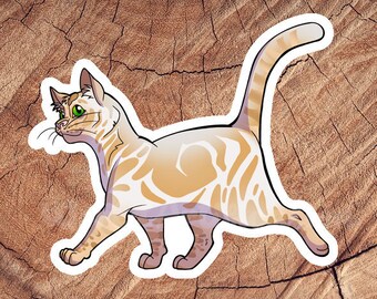 Dilute Orange Tabby Short Hair Cat Sticker, Waterproof Stickers, Laminated Stickers, Gift for Cat Lovers, Cat Decal