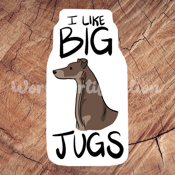 I Like Big Jugs Sticker, Waterproof Sticker, Laminated Sticker, Vet Med Gift, Funny Vet Med Stickers, Vet Med Car Decal, Lab Tech Gift, RVT