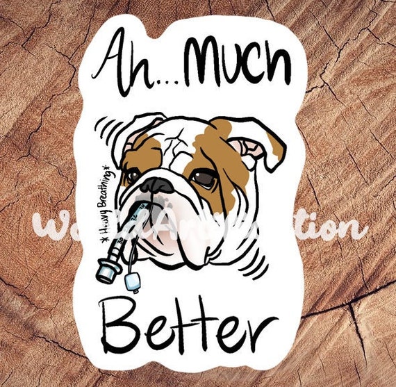Ah Much Better Bulldog Sticker, Waterproof Stickers, Laminated Stickers, Vet Med Gift, Veterinary Anesthesiologist Gift, Bulldog Lover Gift