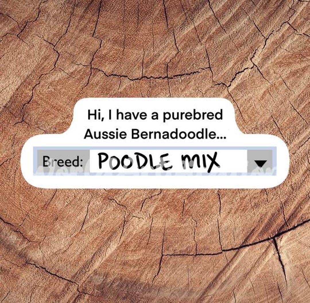 Poodle Mix Sticker, Waterproof Sticker, Laminated Sticker, Vet Med Gift ...