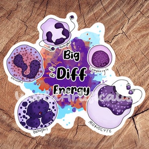 Big Diff Energy Sticker, Waterproof Sticker, Laminated Sticker, Vet Med Gift, Funny Vet Med Stickers, Vet Med Car Decal, RVT