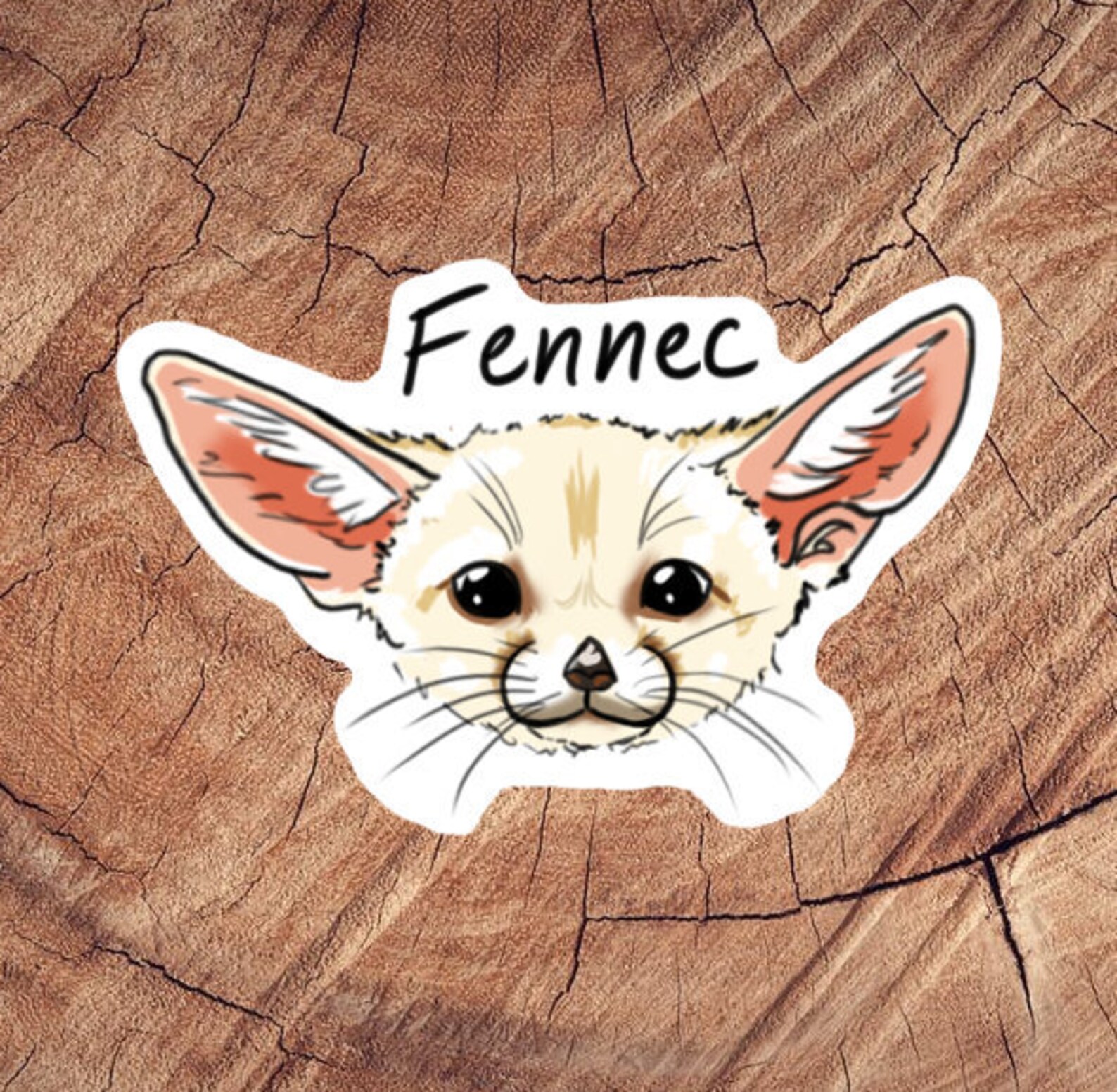 Fennec Fox Sticker Laminated Stickers Waterproof Stickers Etsy