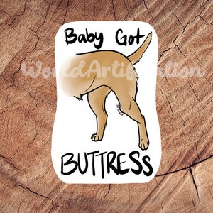 Baby Got Buttress Sticker, Waterproof Sticker, Laminated Sticker, Vet Med Gift, Funny Vet Med Stickers, Vet Med Car Decal, RVT Gift