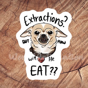 Extractions?? Sticker, Waterproof Sticker, Laminated Sticker, Vet Med Gift, Funny Vet Med Stickers, Vet Med Car Decal, Lab Tech Gift, RVT